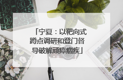 宁夏：以靶向式蹲点调研和登门督导破解顽瘴痼疾