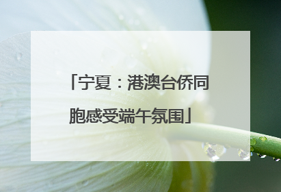 宁夏：港澳台侨同胞感受端午氛围