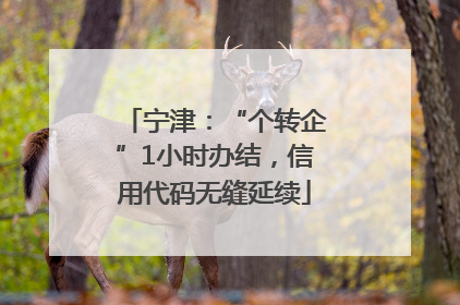 宁津：“个转企”1小时办结，信用代码无缝延续