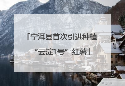 宁洱县首次引进种植“云淀1号”红薯