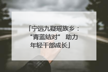 宁远九疑瑶族乡：“青蓝结对” 助力年轻干部成长