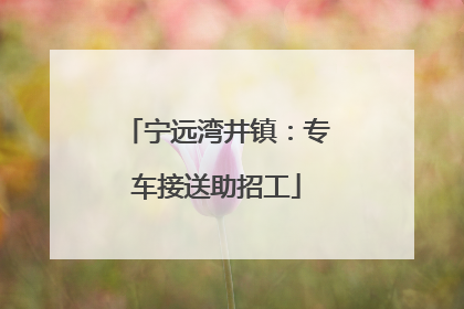 宁远湾井镇：专车接送助招工