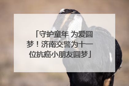 守护童年 为爱圆梦！济南交警为十一位抗癌小朋友圆梦