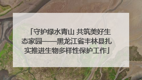 守护绿水青山 共筑美好生态家园——黑龙江省丰林县扎实推进生物多样性保护工作