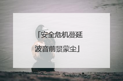 安全危机蔓延 波音前景蒙尘