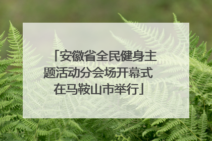 安徽省全民健身主题活动分会场开幕式在马鞍山市举行