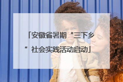 安徽省暑期“三下乡”社会实践活动启动