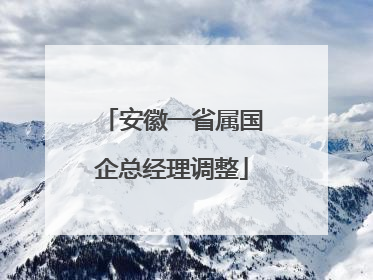安徽一省属国企总经理调整