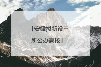 安徽拟新设三所公办高校