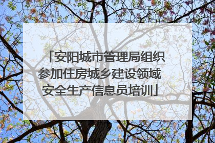 安阳城市管理局组织参加住房城乡建设领域安全生产信息员培训