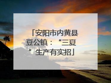 安阳市内黄县豆公镇：“三夏”生产有实招