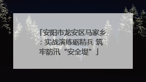 安阳市龙安区马家乡：实战演练砺精兵 筑牢防汛“安全堤”
