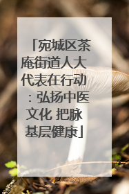 宛城区茶庵街道人大代表在行动：弘扬中医文化 把脉基层健康