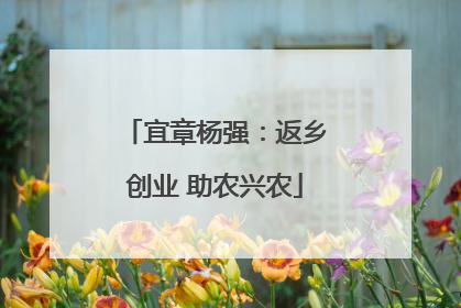 宜章杨强：返乡创业 助农兴农