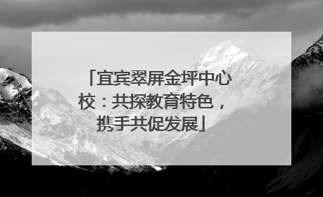 宜宾翠屏金坪中心校：共探教育特色，携手共促发展