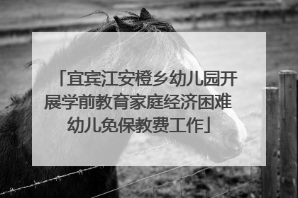 宜宾江安橙乡幼儿园开展学前教育家庭经济困难幼儿免保教费工作
