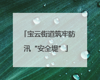 宝云街道筑牢防汛“安全堤”