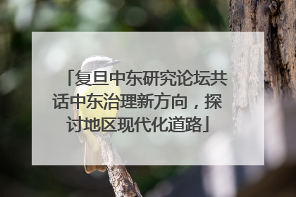 复旦中东研究论坛共话中东治理新方向，探讨地区现代化道路