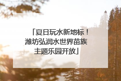 夏日玩水新地标！潍坊弘润水世界苗族主题乐园开放