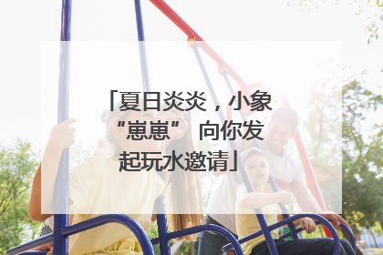 夏日炎炎，小象“崽崽” 向你发起玩水邀请