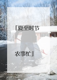 夏至时节农事忙