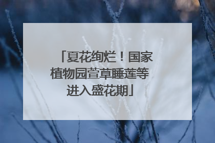 夏花绚烂！国家植物园萱草睡莲等进入盛花期