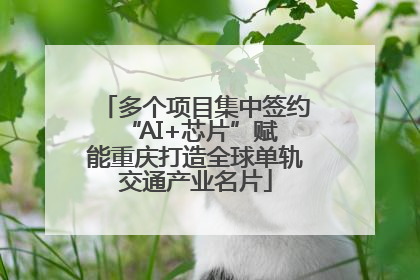 多个项目集中签约 “AI+芯片”赋能重庆打造全球单轨交通产业名片