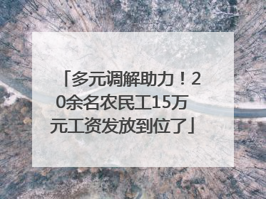 多元调解助力！20余名农民工15万元工资发放到位了