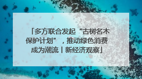 多方联合发起“古树名木保护计划”，推动绿色消费成为潮流丨新经济观察