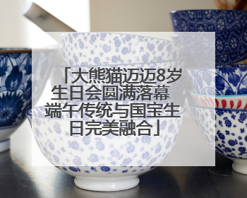 大熊猫迈迈8岁生日会圆满落幕 端午传统与国宝生日完美融合