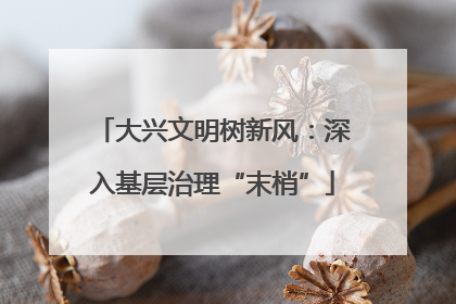 大兴文明树新风：深入基层治理“末梢”