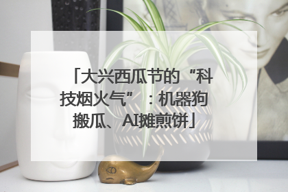 大兴西瓜节的“科技烟火气”：机器狗搬瓜、AI摊煎饼