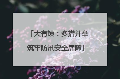 大有镇：多措并举筑牢防汛安全屏障