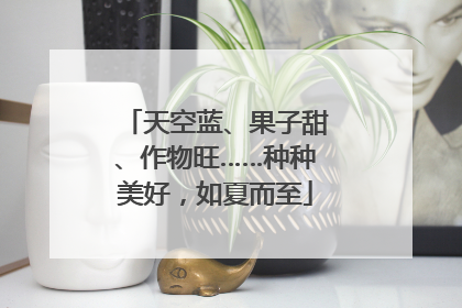 天空蓝、果子甜、作物旺……种种美好，如夏而至