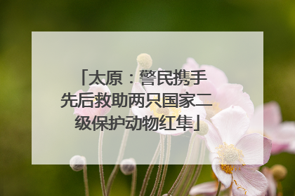 太原：警民携手 先后救助两只国家二级保护动物红隼