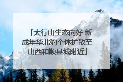 太行山生态向好 新成年华北豹个体扩散至山西和顺县城附近