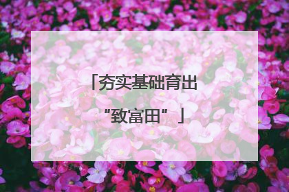 夯实基础育出“致富田”