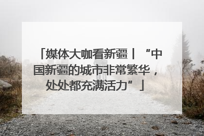 媒体大咖看新疆丨“中国新疆的城市非常繁华，处处都充满活力”