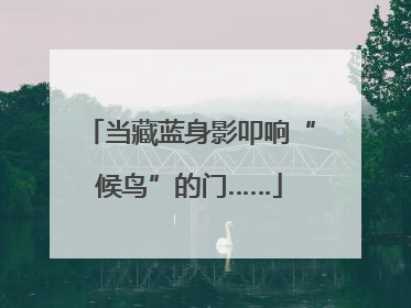 当藏蓝身影叩响“候鸟”的门……
