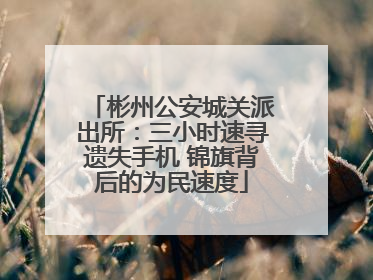 彬州公安城关派出所：三小时速寻遗失手机 锦旗背后的为民速度