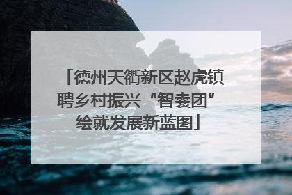 德州天衢新区赵虎镇聘乡村振兴“智囊团” 绘就发展新蓝图