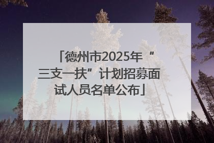 德州市2025年“三支一扶”计划招募面试人员名单公布