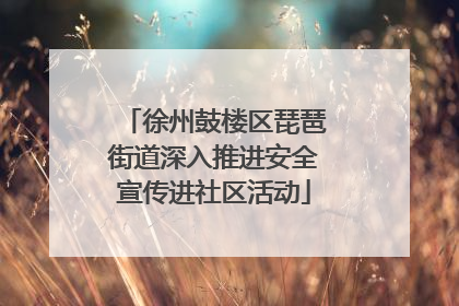 徐州鼓楼区琵琶街道深入推进安全宣传进社区活动