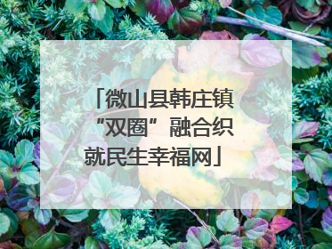 微山县韩庄镇“双圈”融合织就民生幸福网