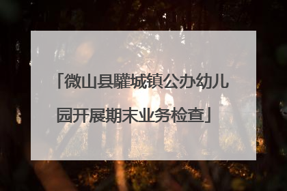 微山县驩城镇公办幼儿园开展期末业务检查
