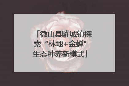 微山县驩城镇探索“林地+金蝉”生态种养新模式