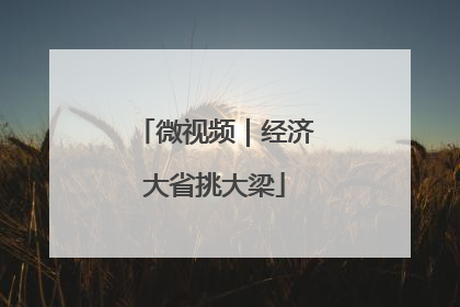 微视频｜经济大省挑大梁