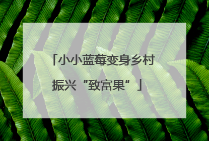 小小蓝莓变身乡村振兴“致富果”