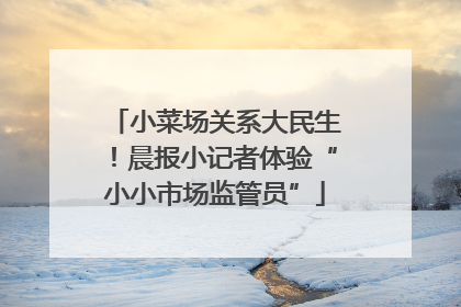小菜场关系大民生！晨报小记者体验“小小市场监管员”