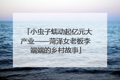 小虫子蠕动起亿元大产业——菏泽女老板李端端的乡村故事